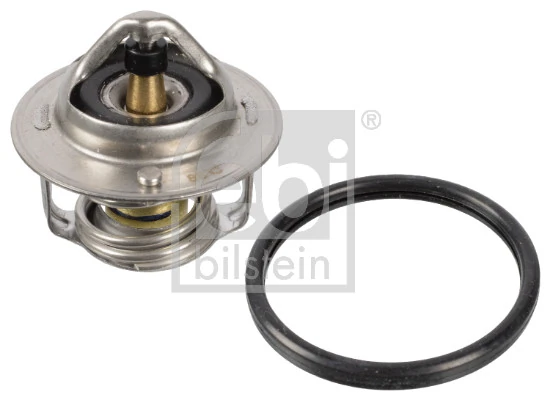 Thermostat, coolant